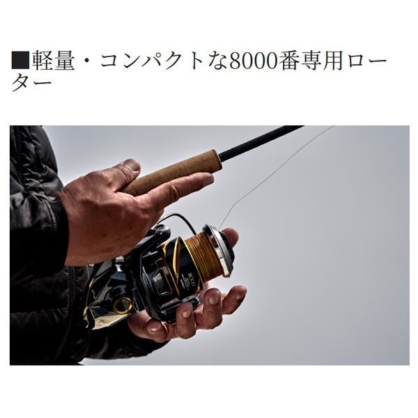 25 ステラ SW